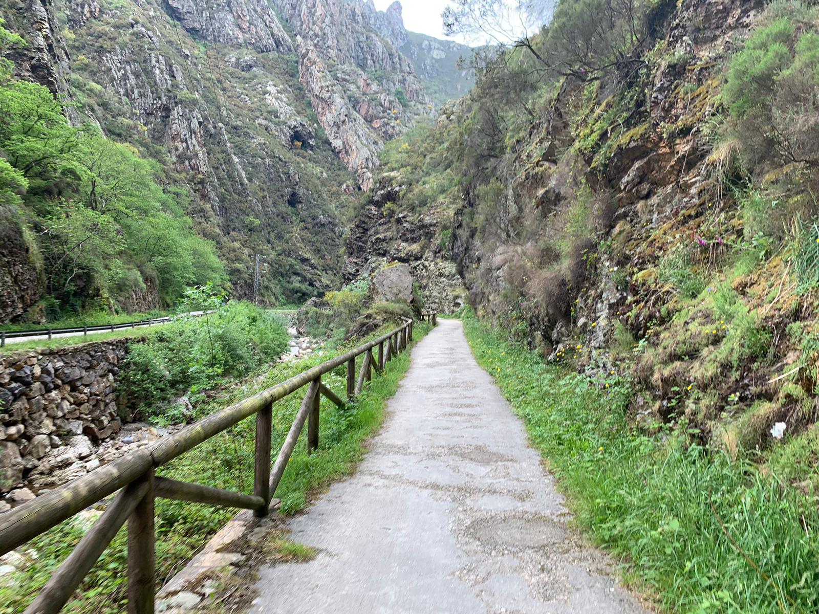 La Senda del Oso, una ruta por la naturaleza